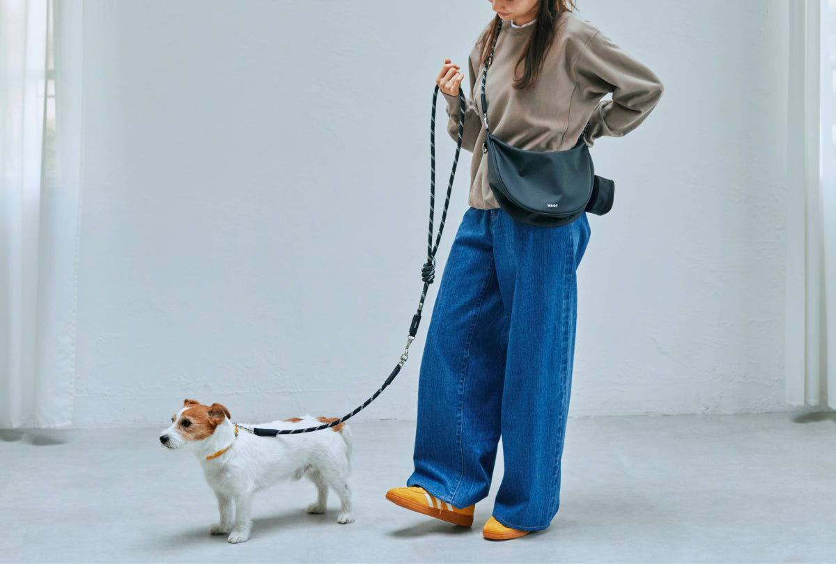 極美品　WAGY SHOULDER LEAD BAG PRODUCT – WAGY